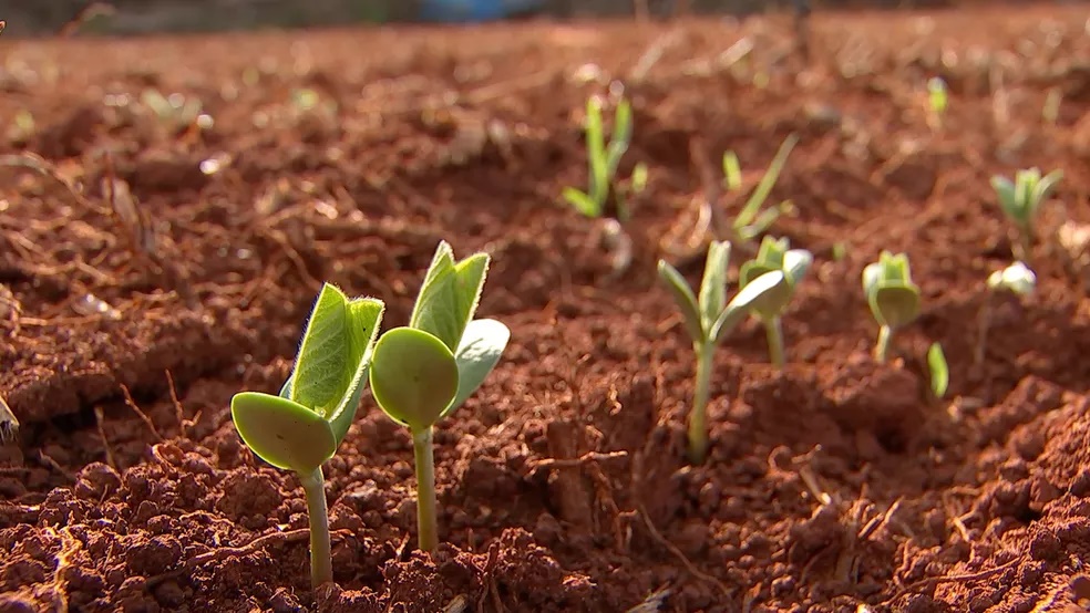 Itapetininga está entre as 30 cidades mais promissoras para o agronegócio, indica ranking